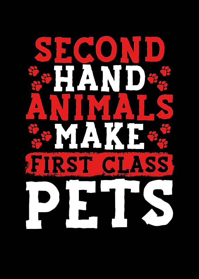 Make first class pets