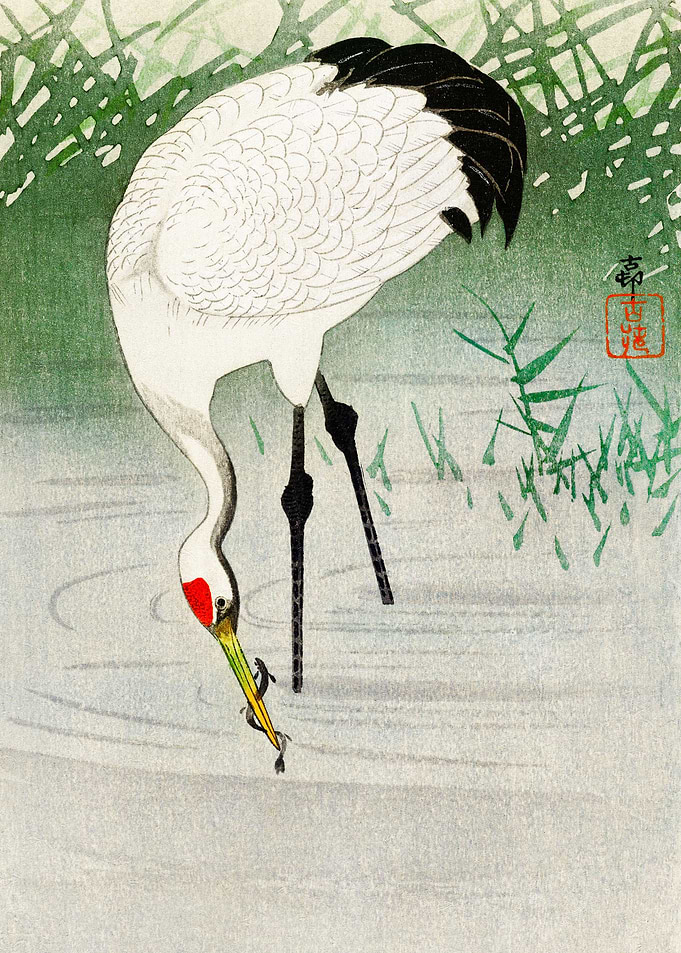 Fishing crane