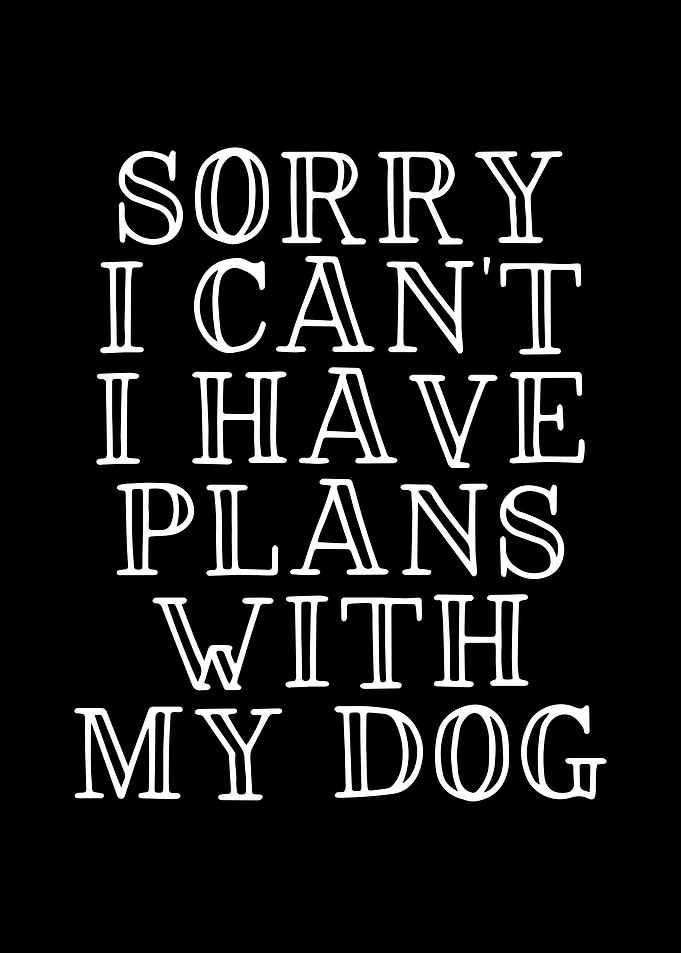 I have plans with my dog