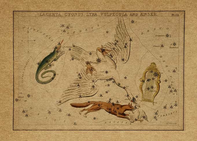 Lacerta Cygnus Lyra chart