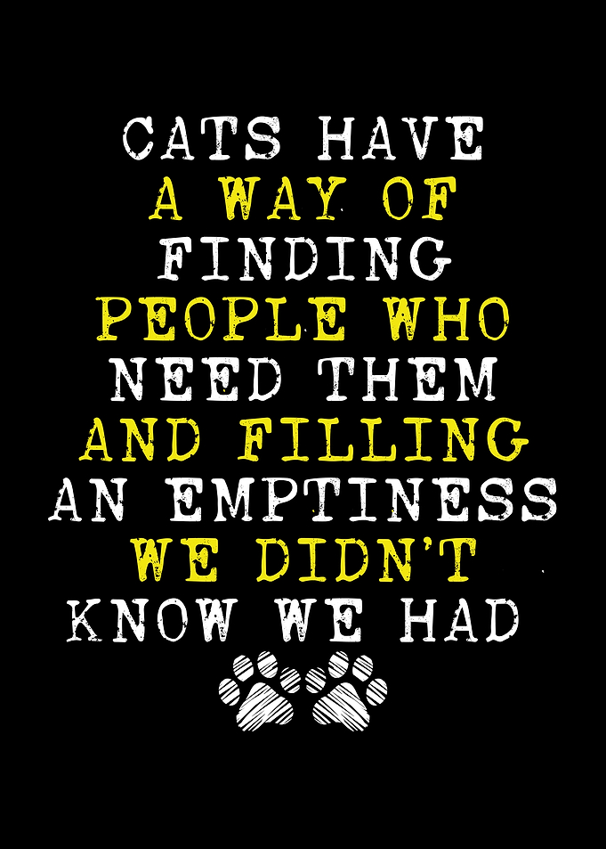 Cats have a way of finding