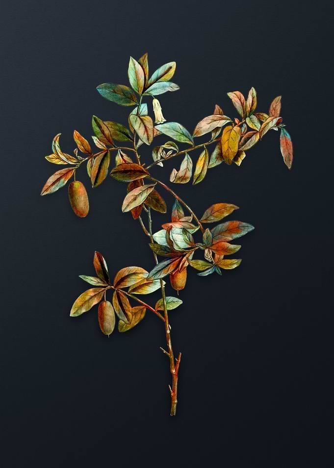 Vintage Apple Berry Flower