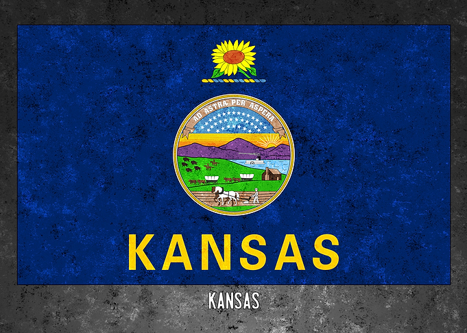 Kansas State Flag