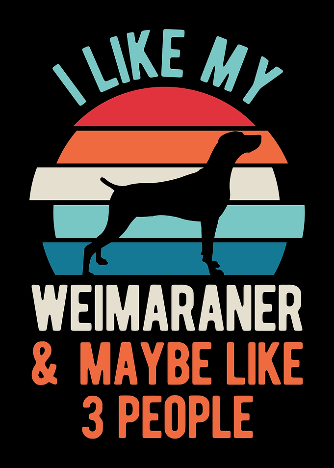 Funny Weimaraner Dog