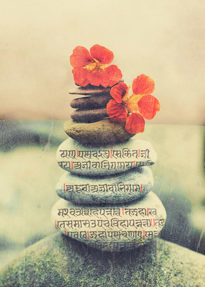 Stone Sutra