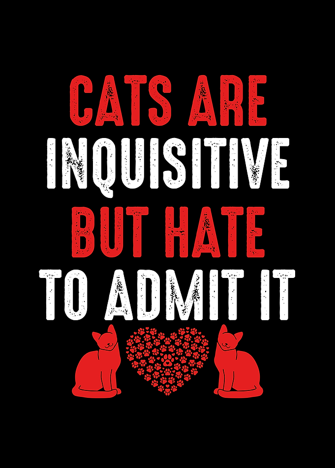 Cats are inquisitive