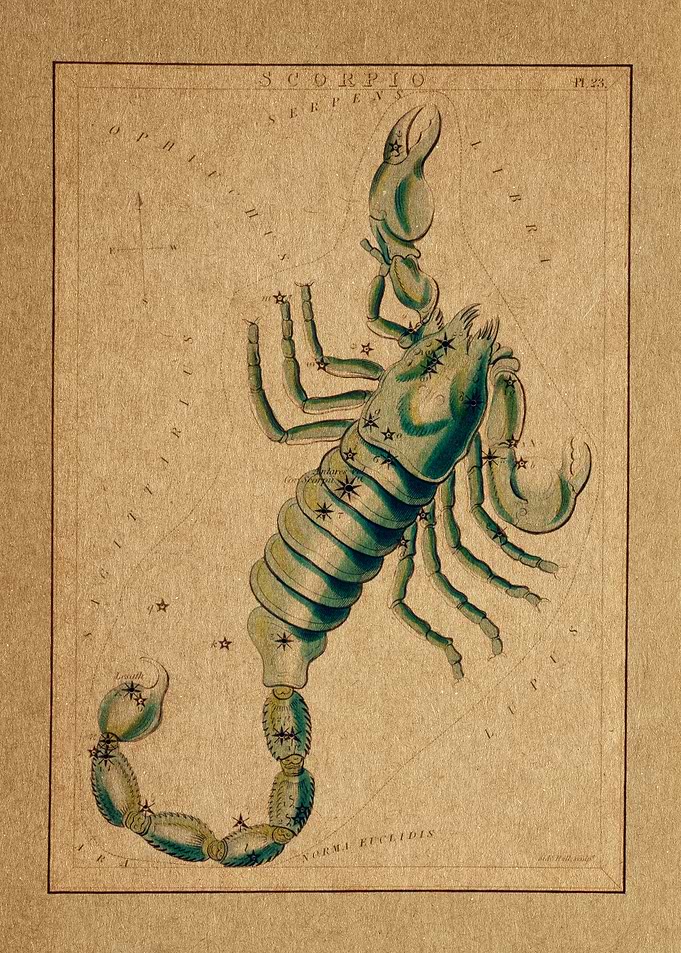 Scorpio chart