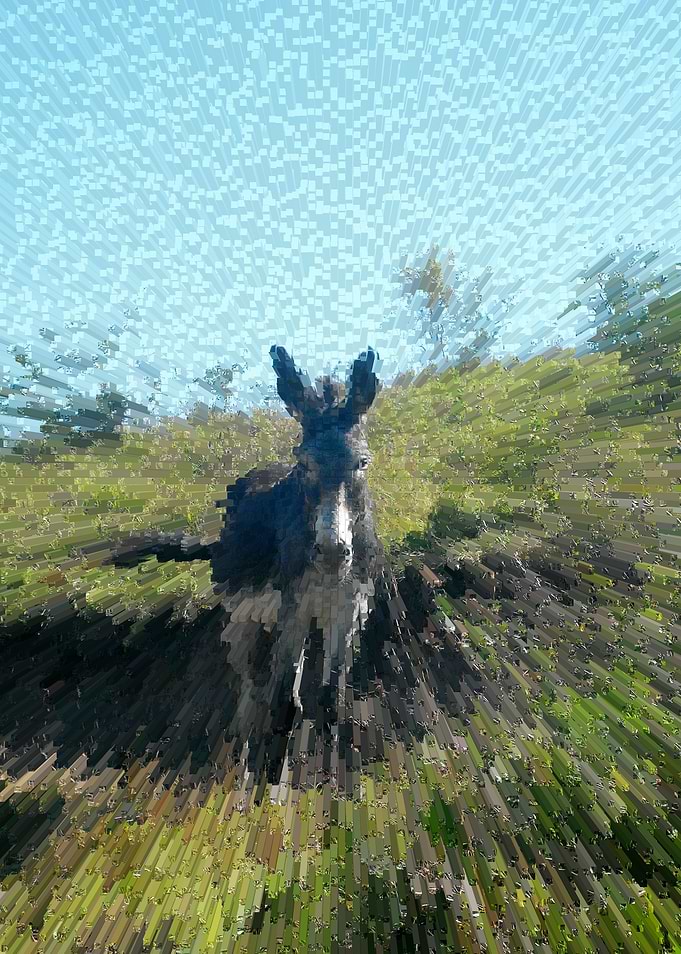 Donkey world abstract