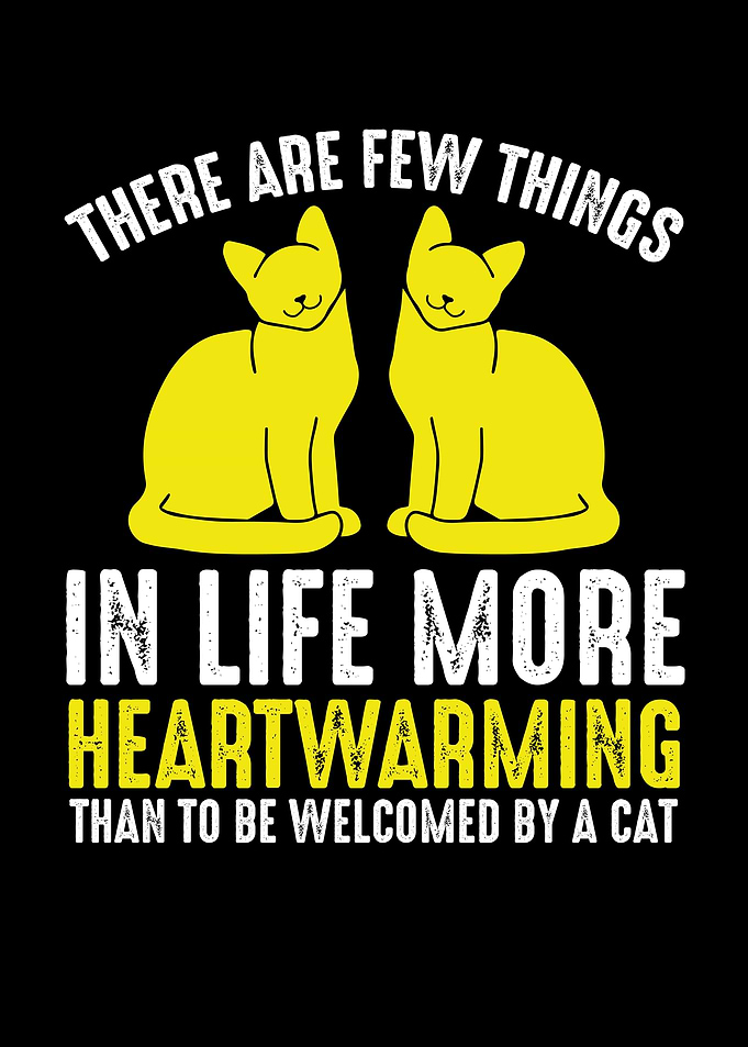 Two cute cats