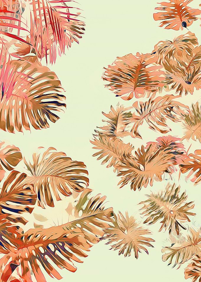Stay Tropical