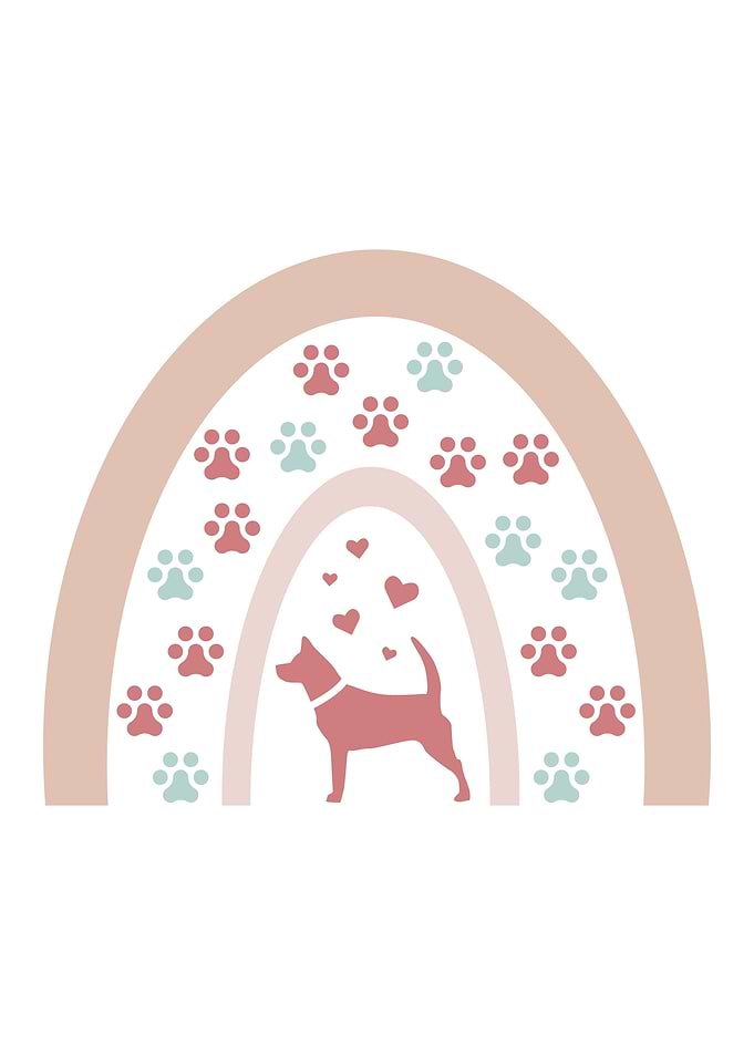 Cute Dog Owner Rainbow