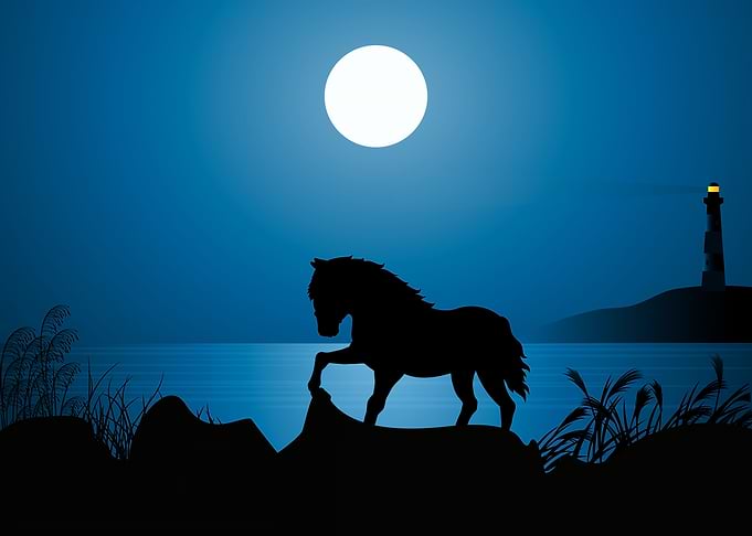 Horse Cute Animal