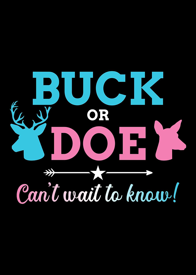 Gender reveal buck or doe