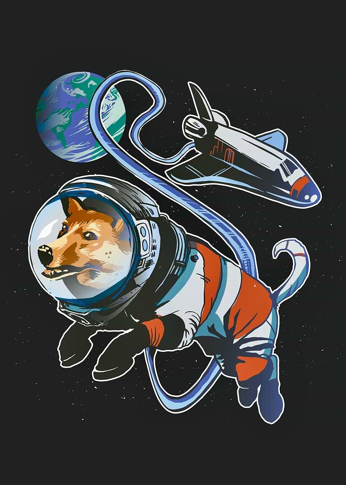 Space corgi dog