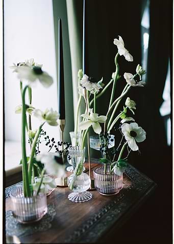 kate trush flower