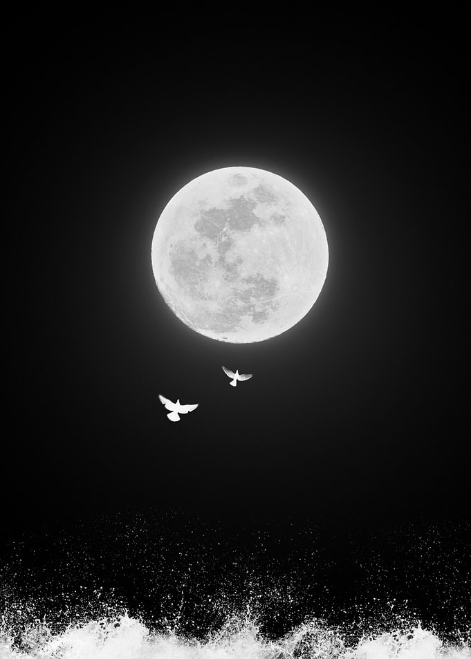 moon night