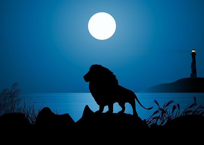 Lion Cute Animal