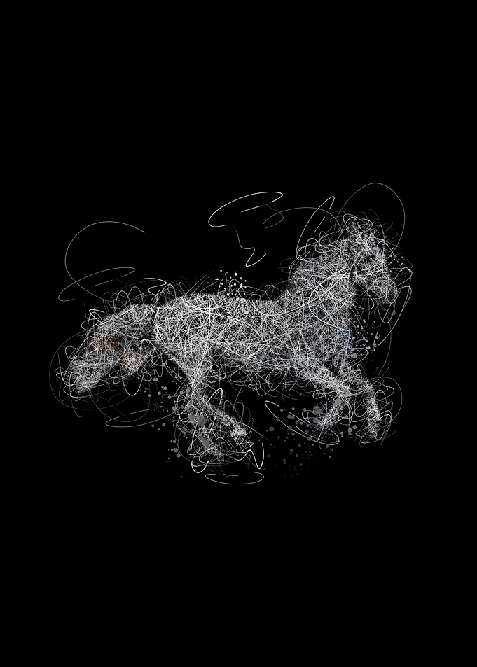 scribble art horse