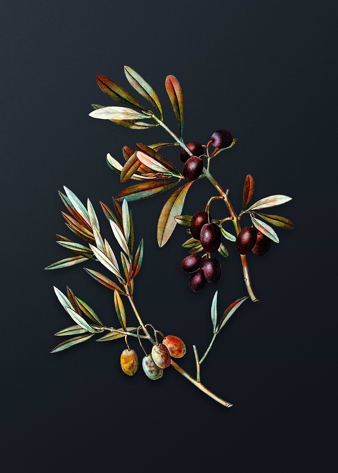 Vintage Olive Flower