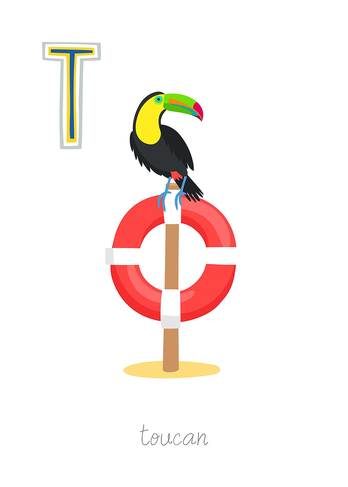 Animal Alphabet T Toucan