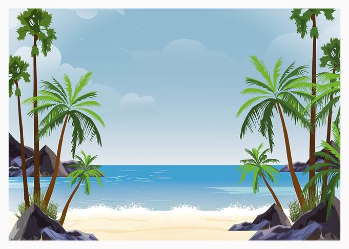 Palm Tree Beach