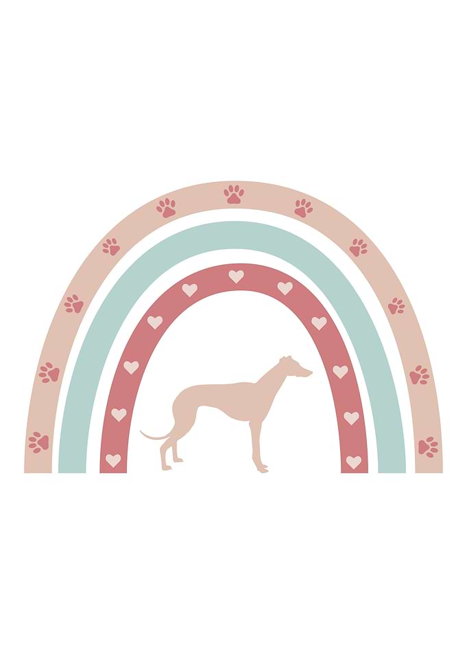 Whippet Dog Boho Rainbow