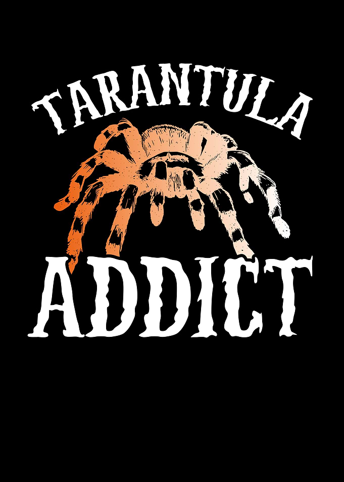 Tarantula addict