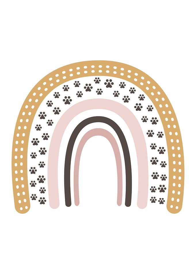 Cute Dog Boho Rainbow