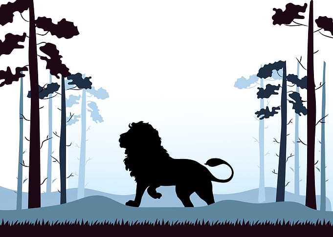 Lion Cute Animal
