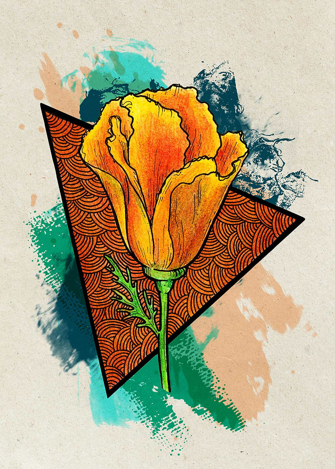 Californian Poppy Light