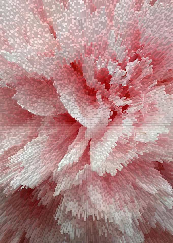 Abstract pastel pink rose