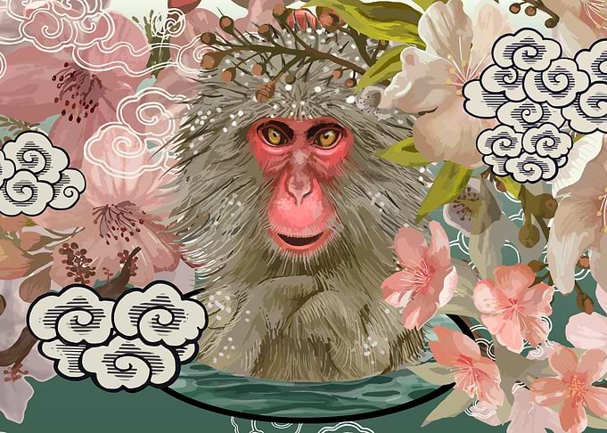 Japanese Monkey