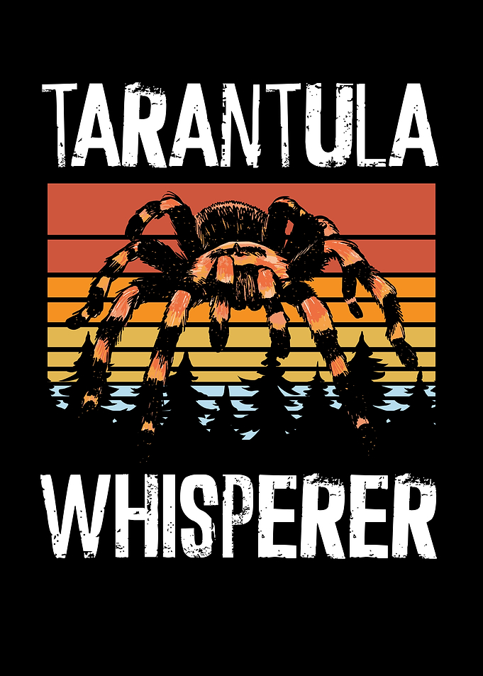 Tarantula whisperer retro