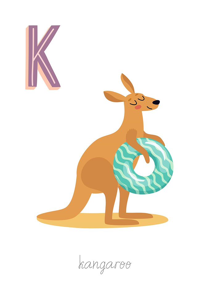 Animal Alphabet K Kangaroo