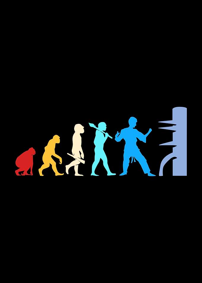 Wing Chun Evolution
