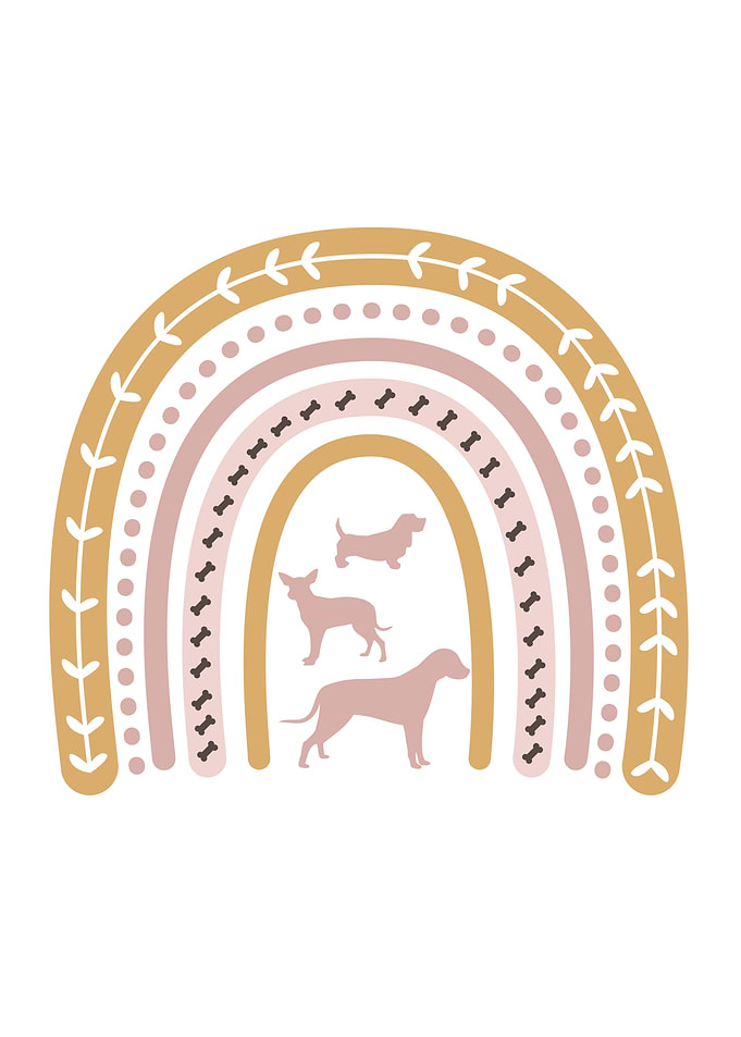 Adorable Dog Boho Rainbow