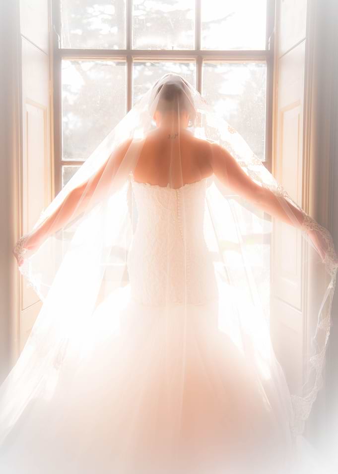 Bridal showcase