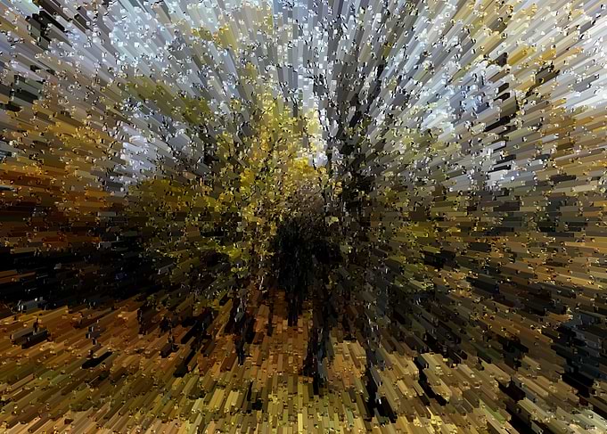 Abstract autumn forest
