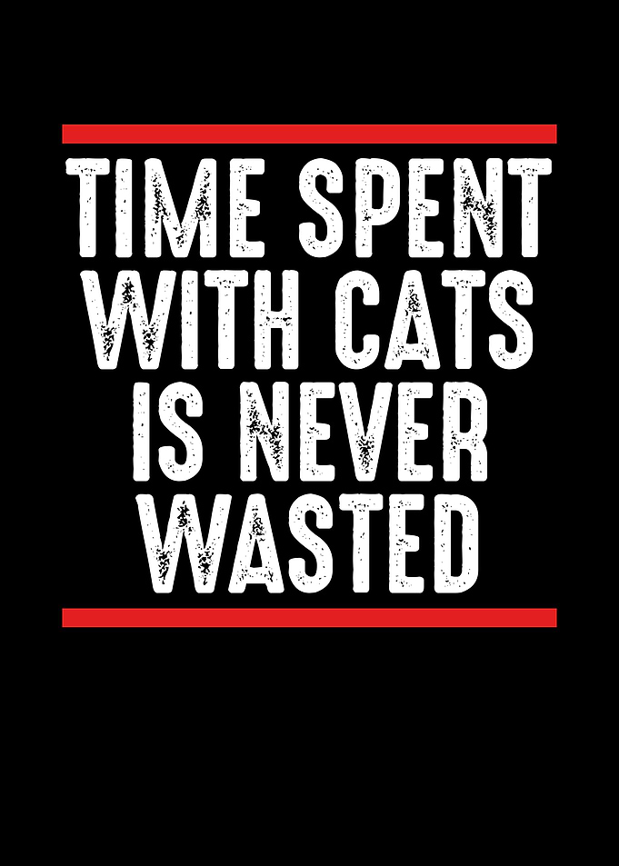 Time spent with cats is ne