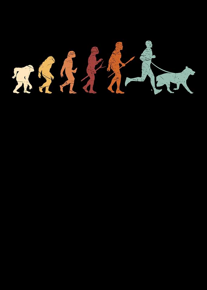 Canicross Evolution
