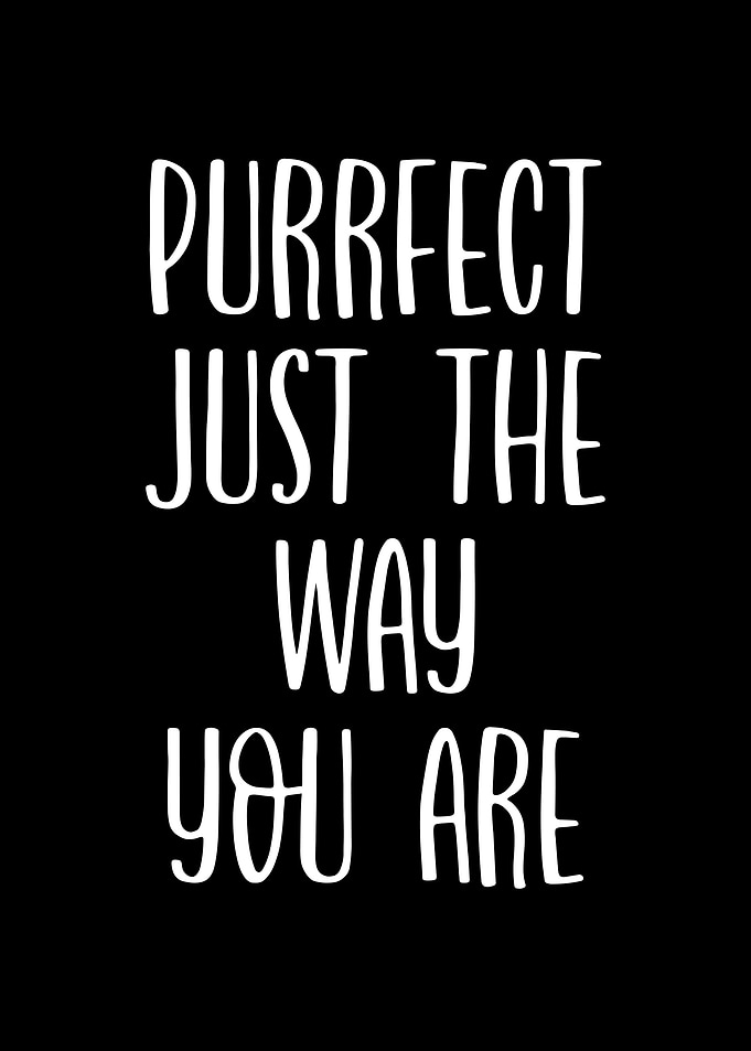 Purrfect just the way you