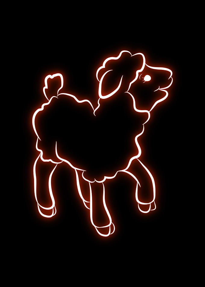 Sheep Cute Animal