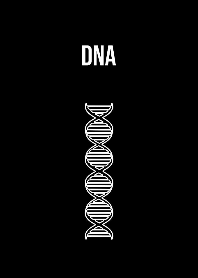 DNA
