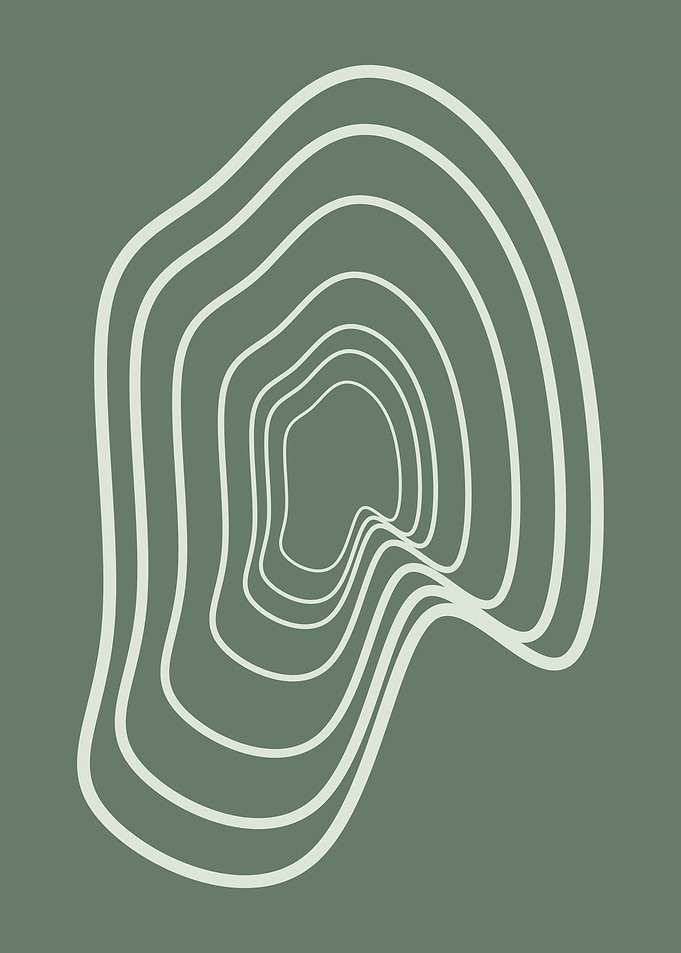 Organic Abstract Lines