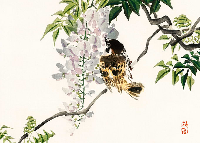 Sparrow on a branch