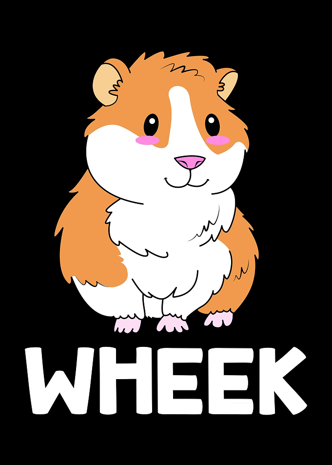 Guinea Pig Wheek