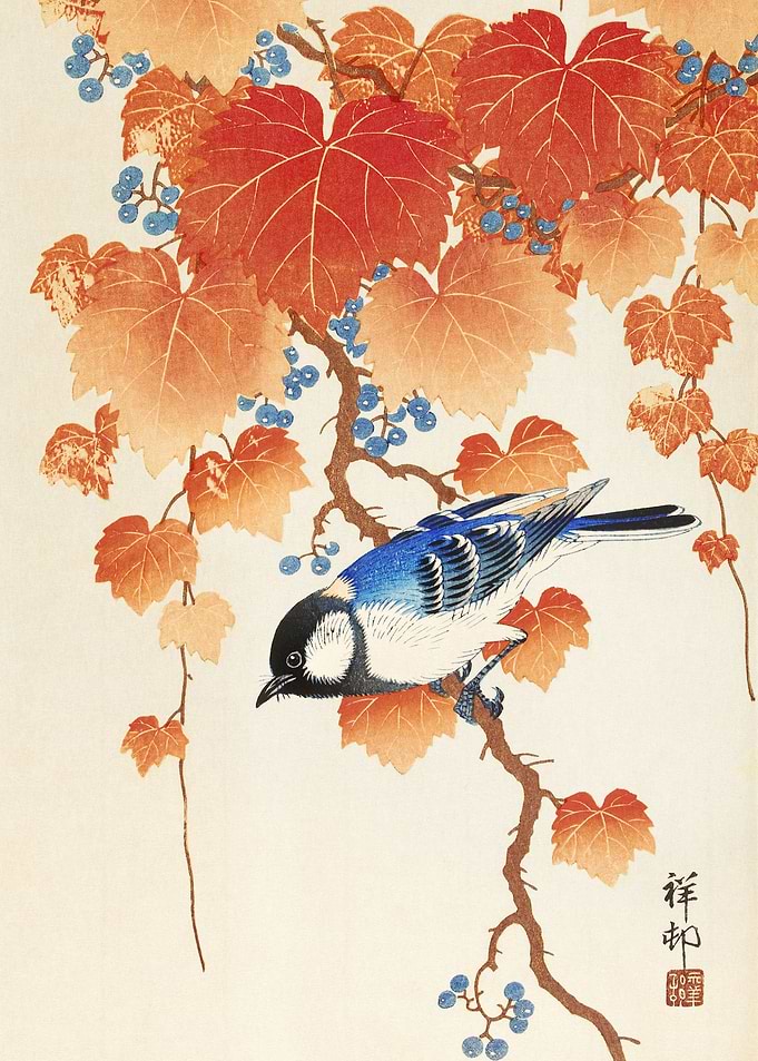 Bird on a branch