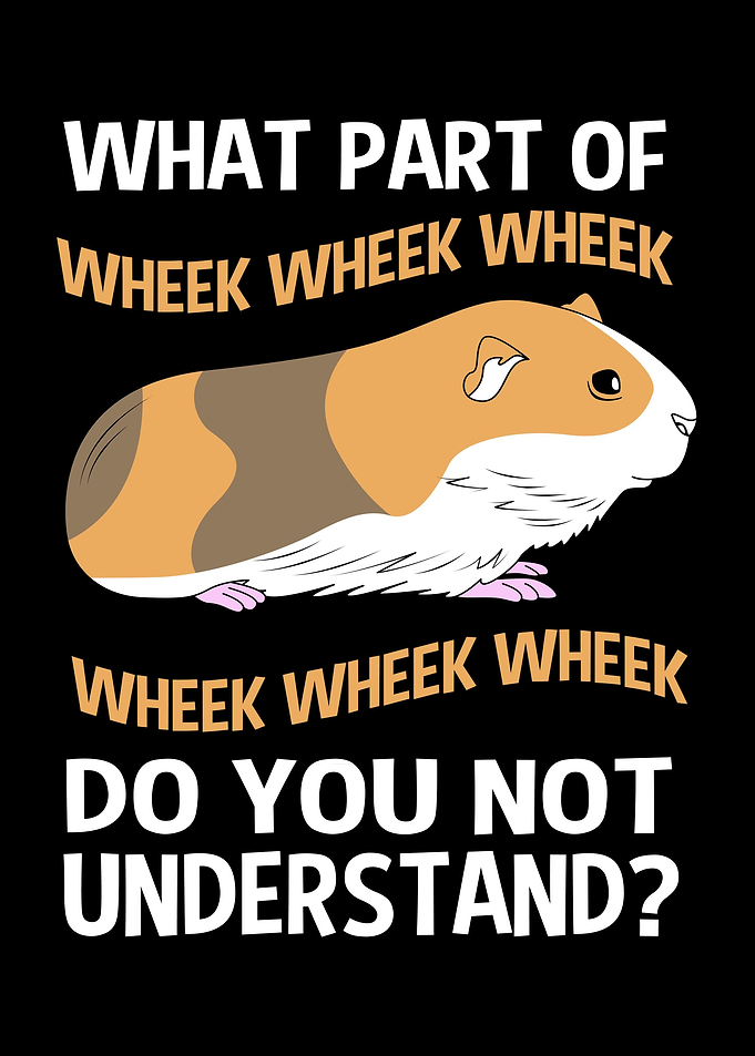 Funny Guinea Pig