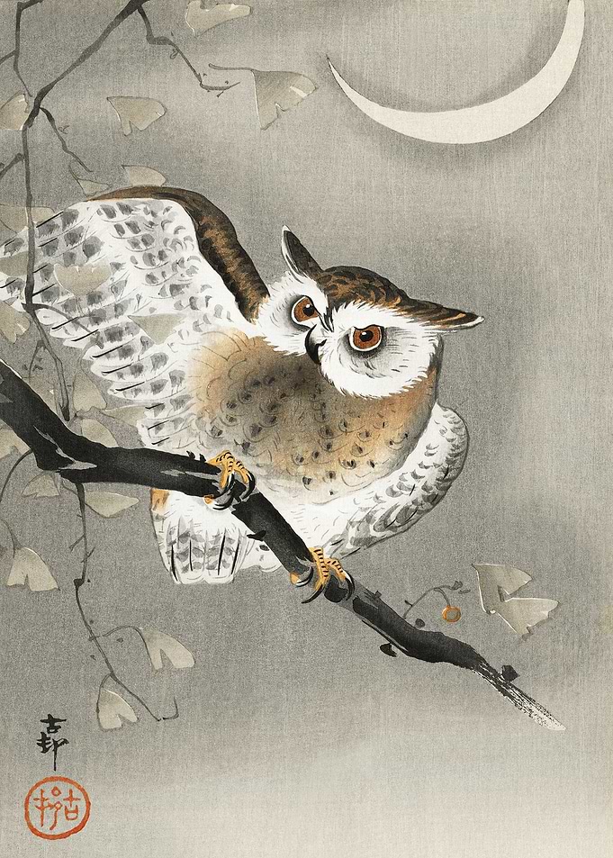 Owl in ginkgo