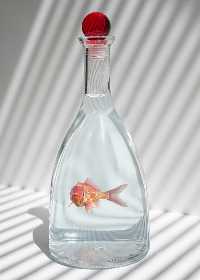 Fish in deanter